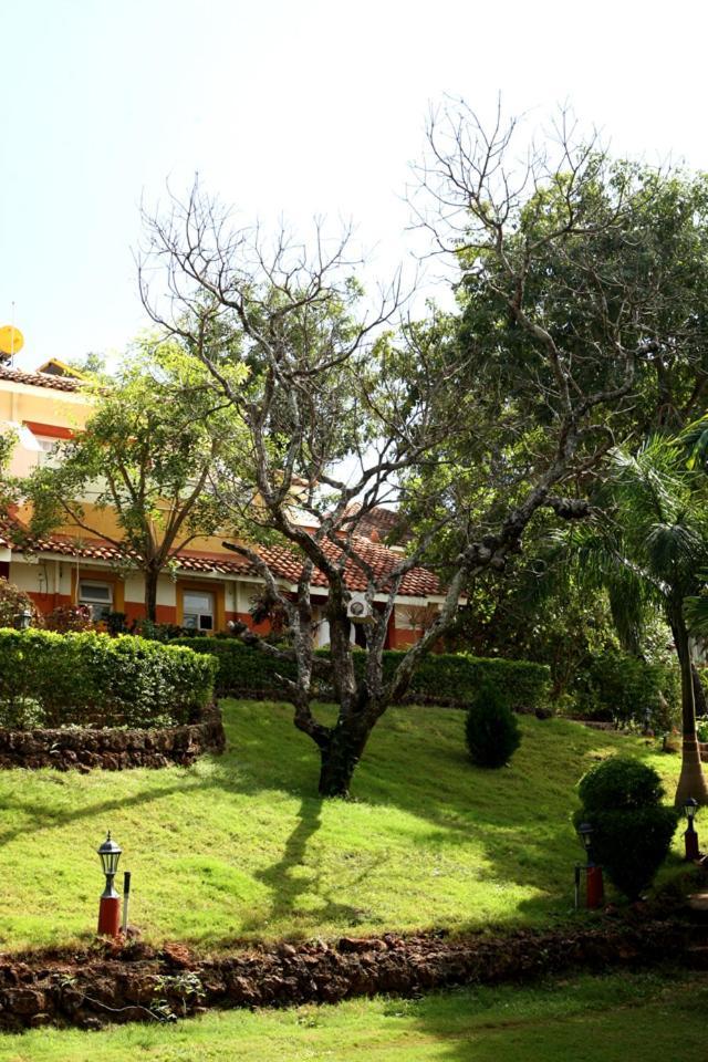 Nirvana Hermitage Anjuna Esterno foto
