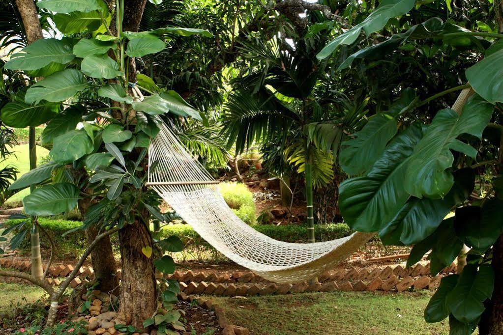 Nirvana Hermitage Anjuna Esterno foto
